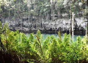 Höhle im Parque de los Tres Ojos Santo Domingo